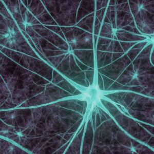 Философия спящих агентов сознания Философия спящих агентов сознания